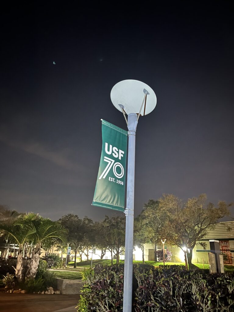 Annual USFSP night walk aims to improve campus safety  – The Crow's Nest