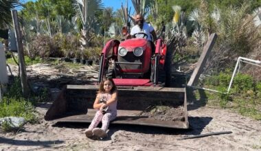 Rising gas prices impact Plant City palm tree nursery