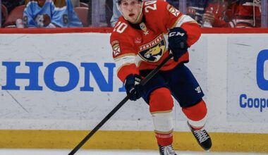 Florida panthers