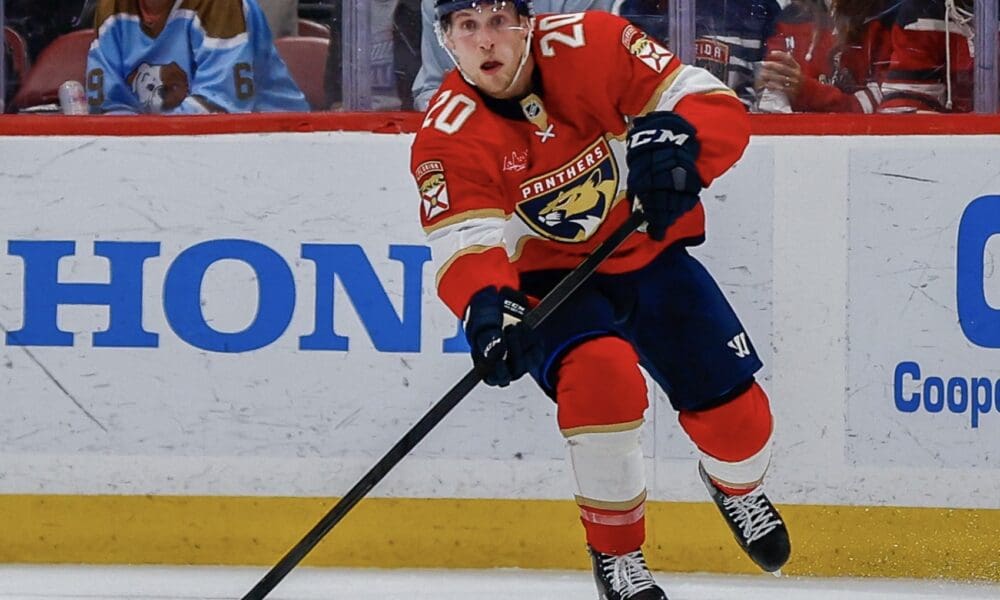 Florida panthers