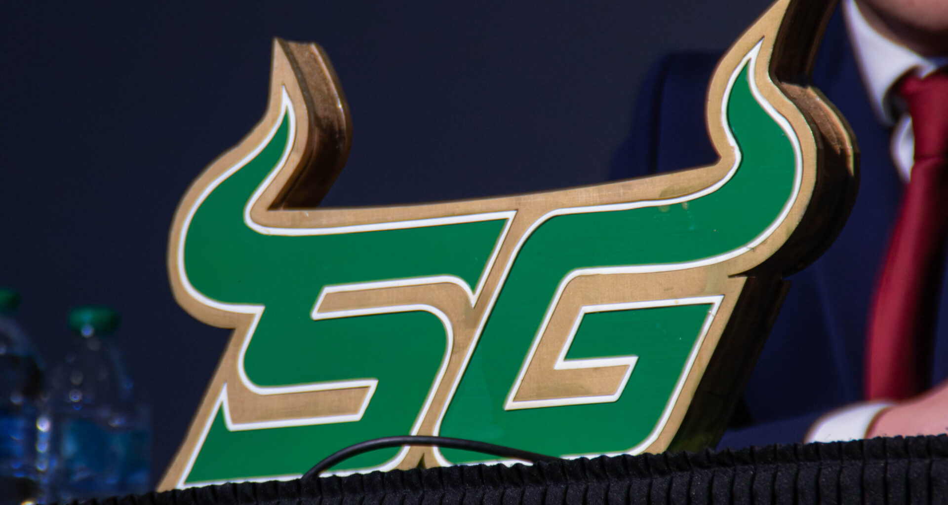Meet the competition for USF SG's gubernatorial race