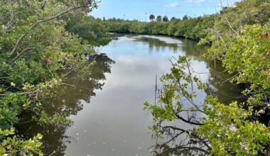 The Bartlett Lake dredging project is expected to being next week with 1-to-6 feet of silt removed to improve stormwater flow (Spectrum News/Josh Rojas).
