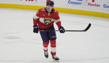 Florida panthers