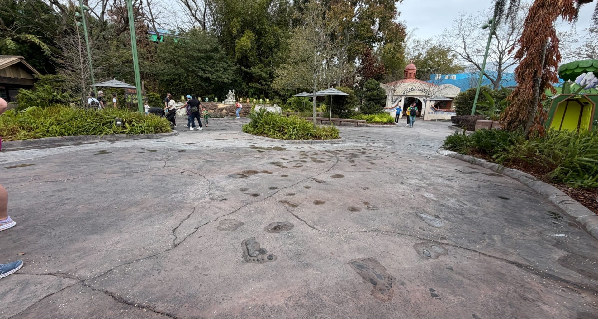 Former Shrek’s Swamp Splash Pad Space Back Open to Guests Months After Demolition
