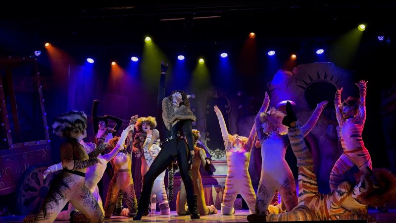 Review: CATS at Broadway Palm Dinner Theatre  Image