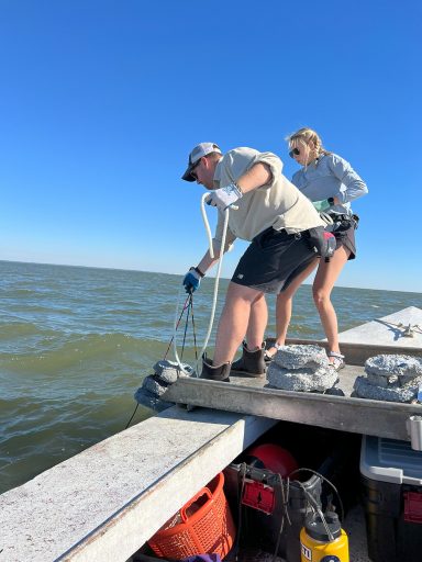 A man and woman lift coral out of the water with a rope from a boat