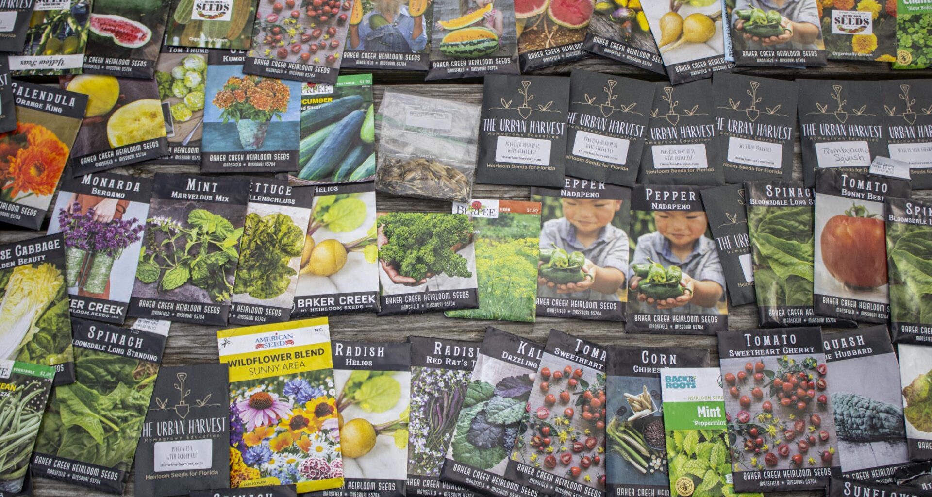 USF Agrarian Club students form seed library with Herbarium