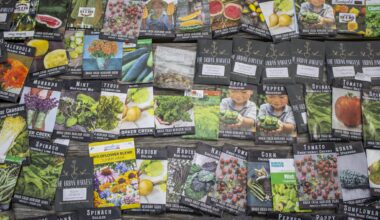 USF Agrarian Club students form seed library with Herbarium