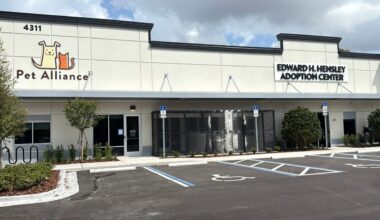 New Pet Alliance shelter opens in Orlando