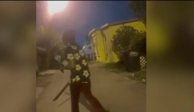 Video show man armed with machete threatening dog in Miami – NBC 6 South Florida