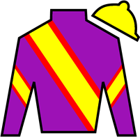 Horse Silk Flashy Fritz