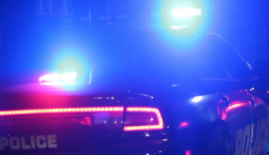 1 in custody after shots fired at Tallahassee apartment complex