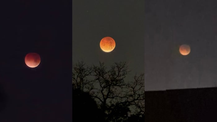 News4JAX Insiders capture total lunar eclipse, blood moon