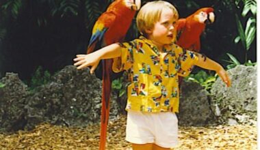 Get Those Photo Albums Out—Parrot Jungle Memories Wanted!
