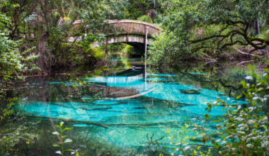 Charting a new political path to protect Florida’s springs 