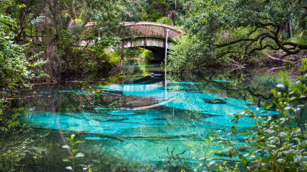 Charting a new political path to protect Florida’s springs 