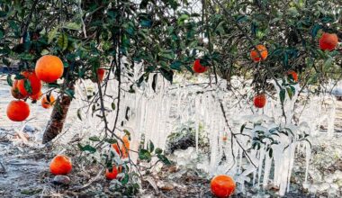 Rep. Mast hosts recovery meeting in Martin County