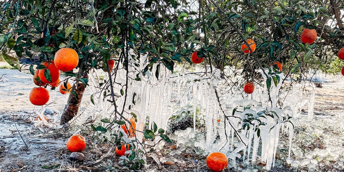 Rep. Mast hosts recovery meeting in Martin County