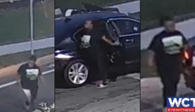 TPD shares images of suspected driver in deadly northwest Tallahassee hit-and-run