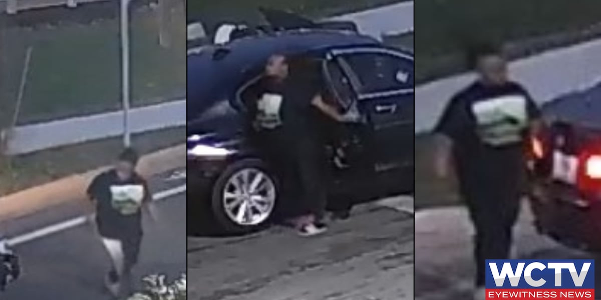TPD shares images of suspected driver in deadly northwest Tallahassee hit-and-run