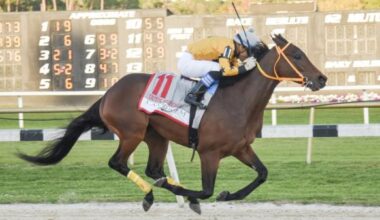 When a $100 Longshot Reigned in the Tampa Bay Derby