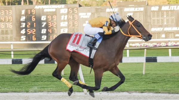 When a $100 Longshot Reigned in the Tampa Bay Derby