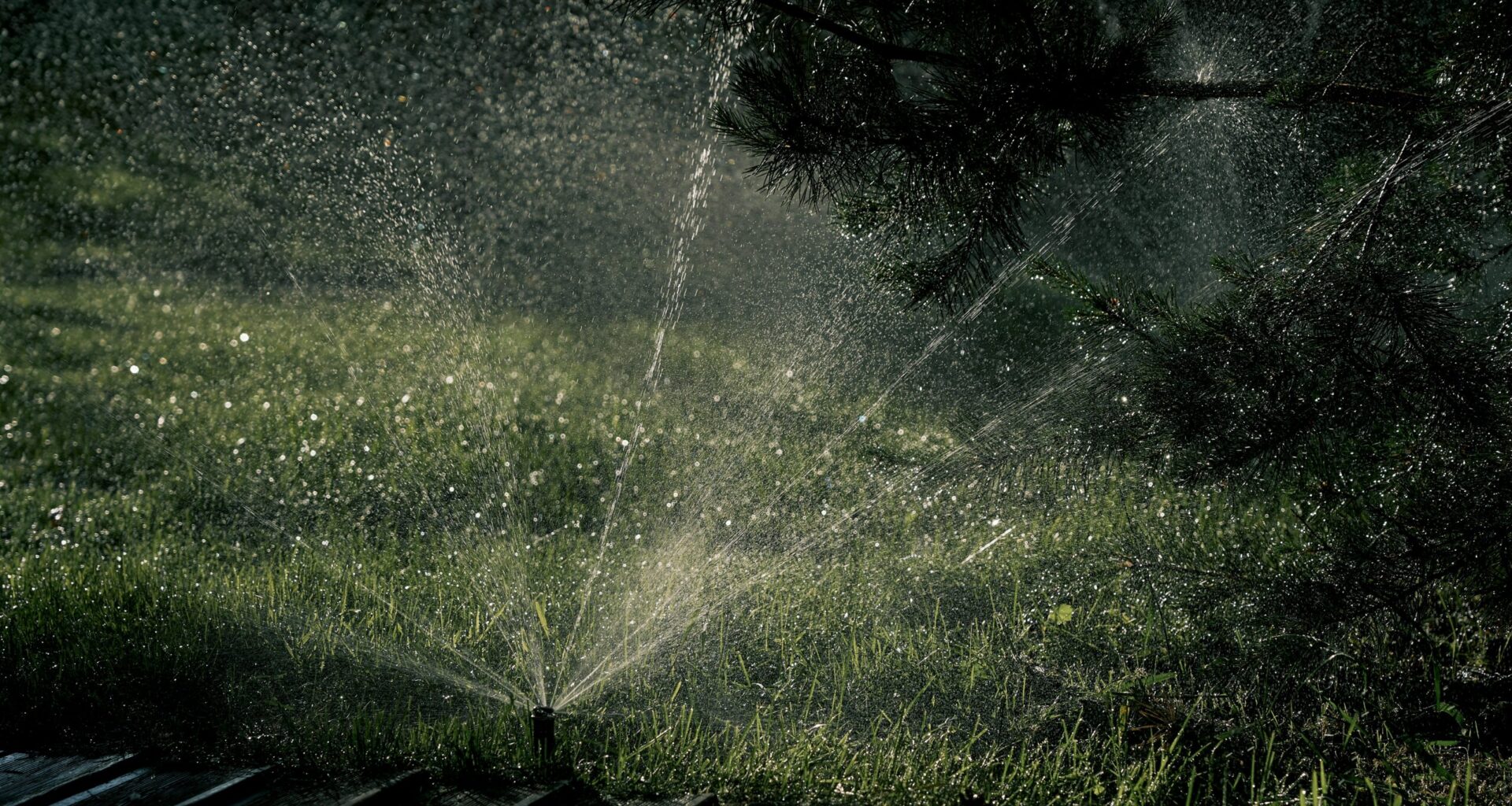 Who should pay more as reclaimed water strains under drought?