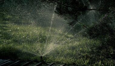 Who should pay more as reclaimed water strains under drought?