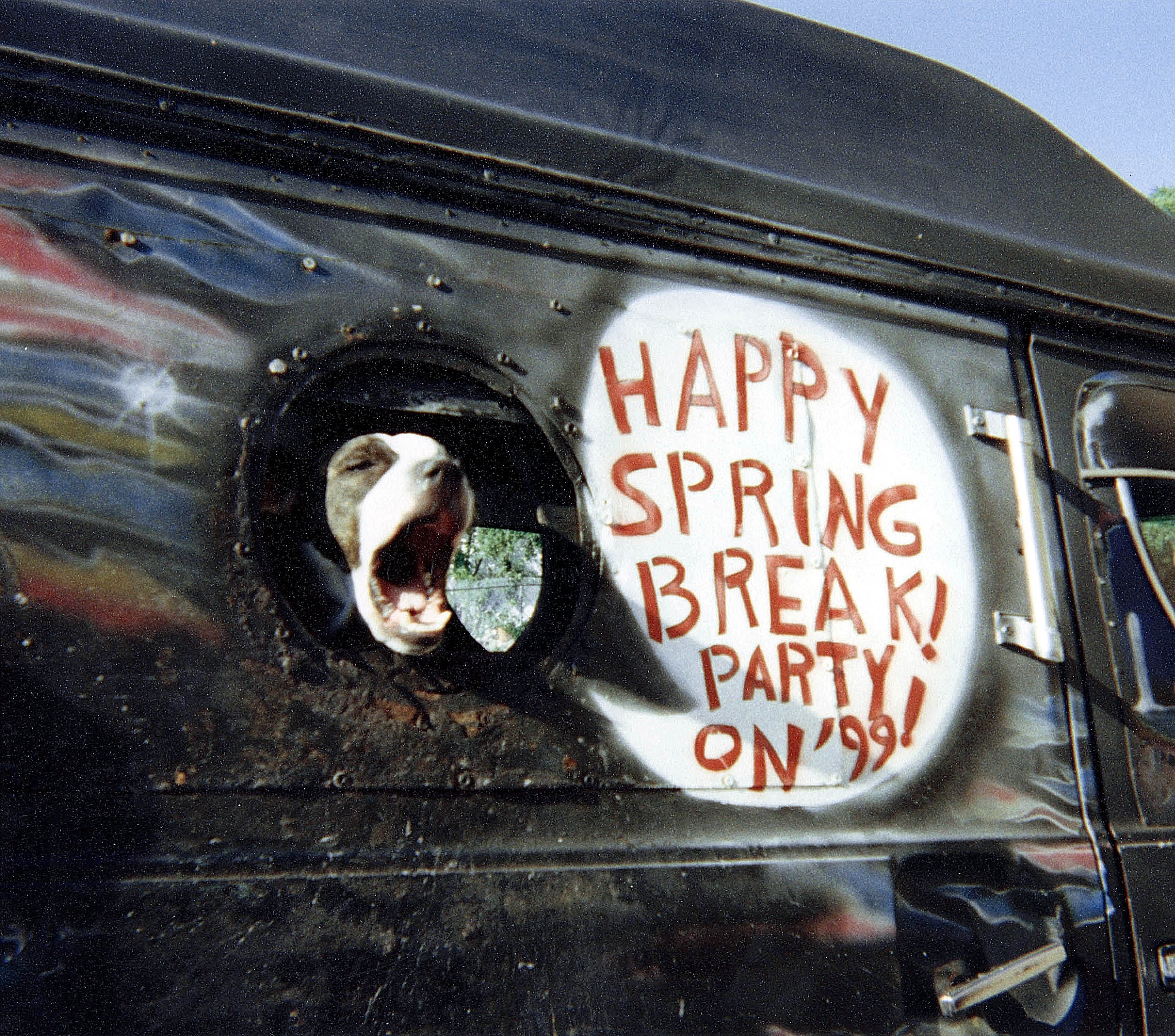 FLORIDA MAGAZINE PHOTO CONTEST 1999. Runner-up. Mark Paulissen of Daytona...