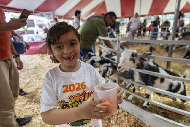 Isabella Torres, 6, reacts as she feeds goats during the opening day of the 74th annual Miami-Dade County Youth Fair on Thursday, March 12, 2026, in Miami, Fla.