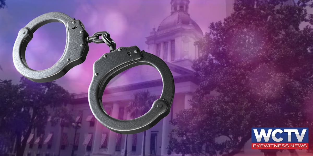 One arrested at ‘No Kings’ protest in Tallahassee on misdemeanor charges