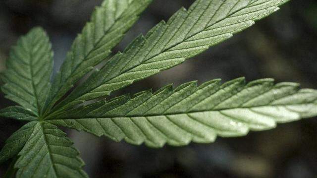 A Texas man was arrested Saturday, March 7, 2026, after federal agents found 75 pounds of marjuana packed in his suitcases on a flight from Miami International Airport to London, according to the Miami-Dade Sheriff’s Office.