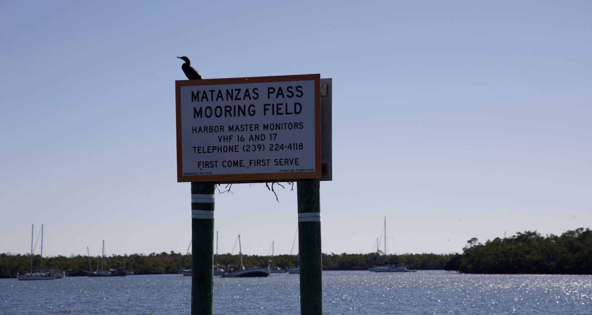 The Annual Cruiser Appreciation Day celebration sets sail again