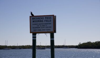 The Annual Cruiser Appreciation Day celebration sets sail again