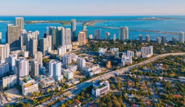 What is 305 Day and why it’s celebrated in Miami – NBC 6 South Florida