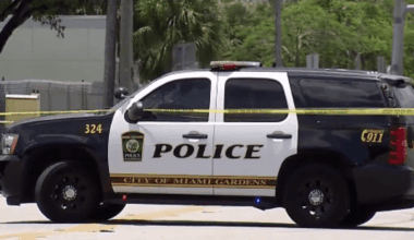 Pair arrested in violent Miami Gardens carjacking that left elderly man hospitalized, police say – NBC 6 South Florida