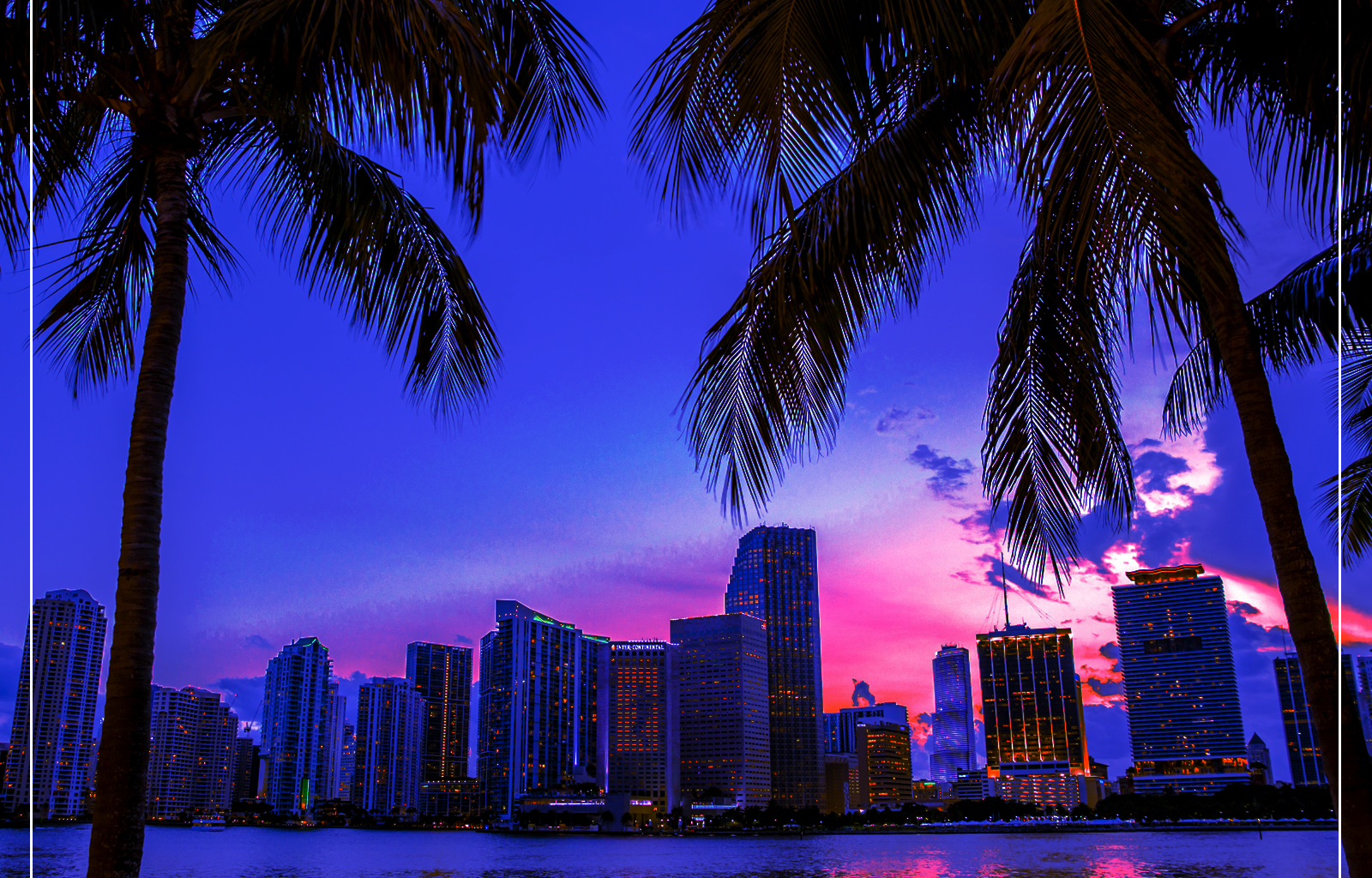 DNC launches voter registration blitz, new playbook as Dems eye more Florida gains