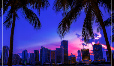 DNC launches voter registration blitz, new playbook as Dems eye more Florida gains