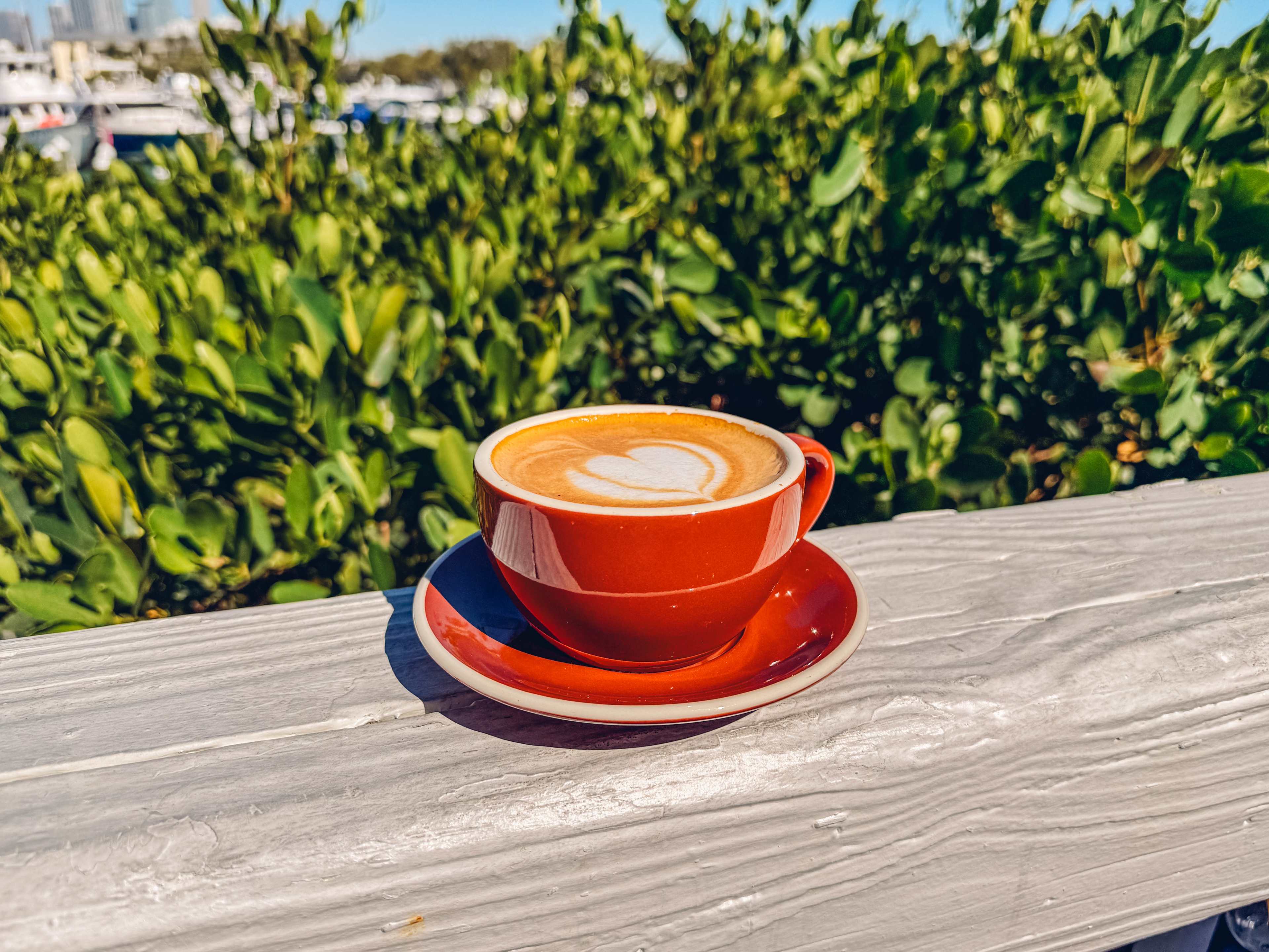 latte sitting on patio railing