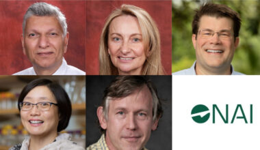 Research to impact: Five FSU professors named National Academy of Inventors Senior members