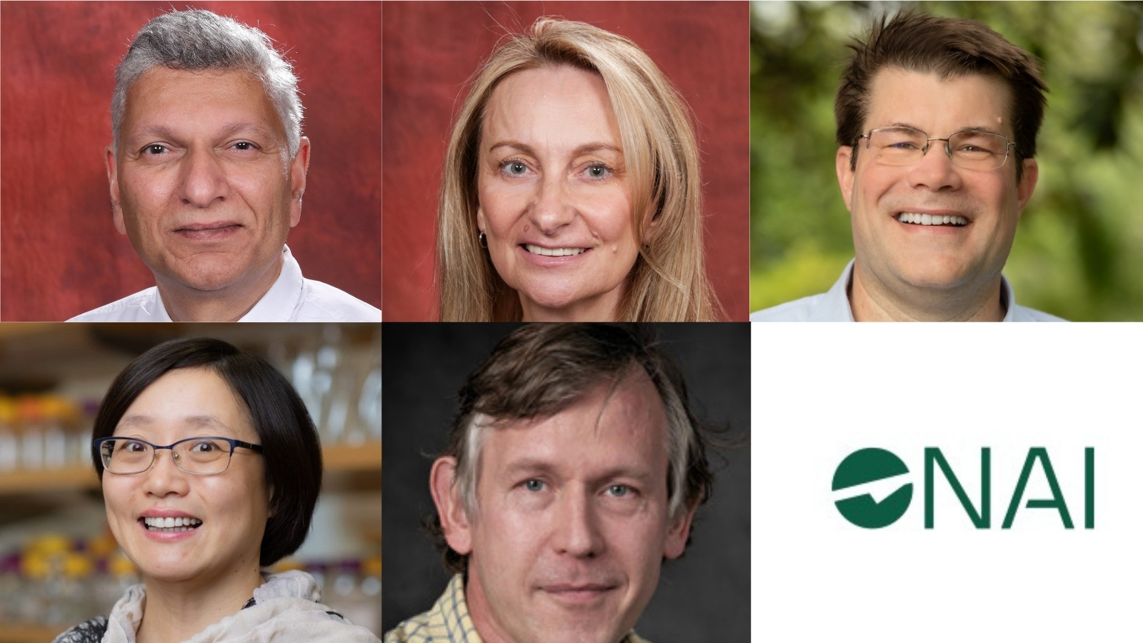 Research to impact: Five FSU professors named National Academy of Inventors Senior members