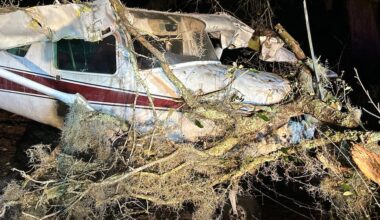 Pilot walks away from emergency landing on Tampa street