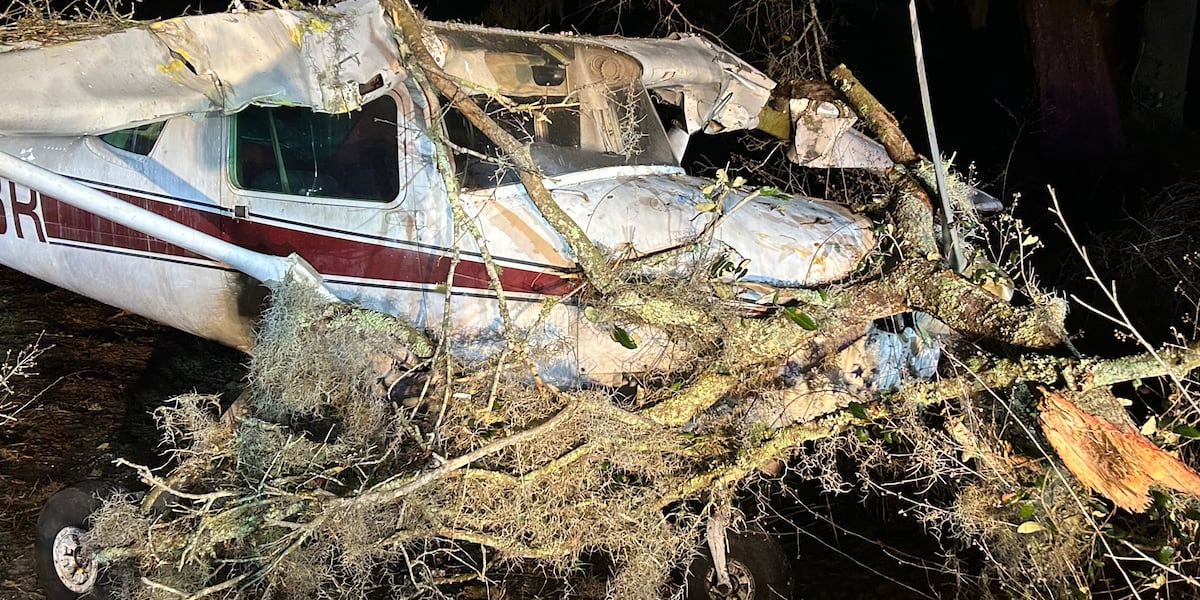 Pilot walks away from emergency landing on Tampa street