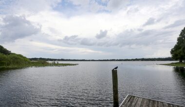 City of Ocoee to perform shoreline restoration on Starke Lake