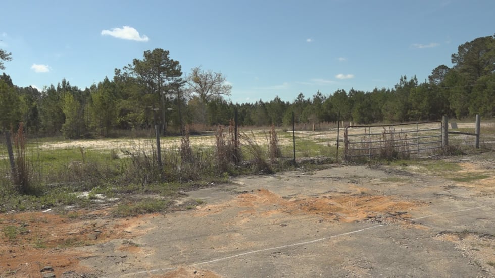 A California company wants to build a TA Travel Plaza at U.S. 19 and Nash Road.