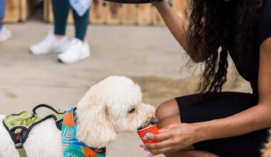 5th annual Paws Patio Food Fest returns to Intercontinental Miami
