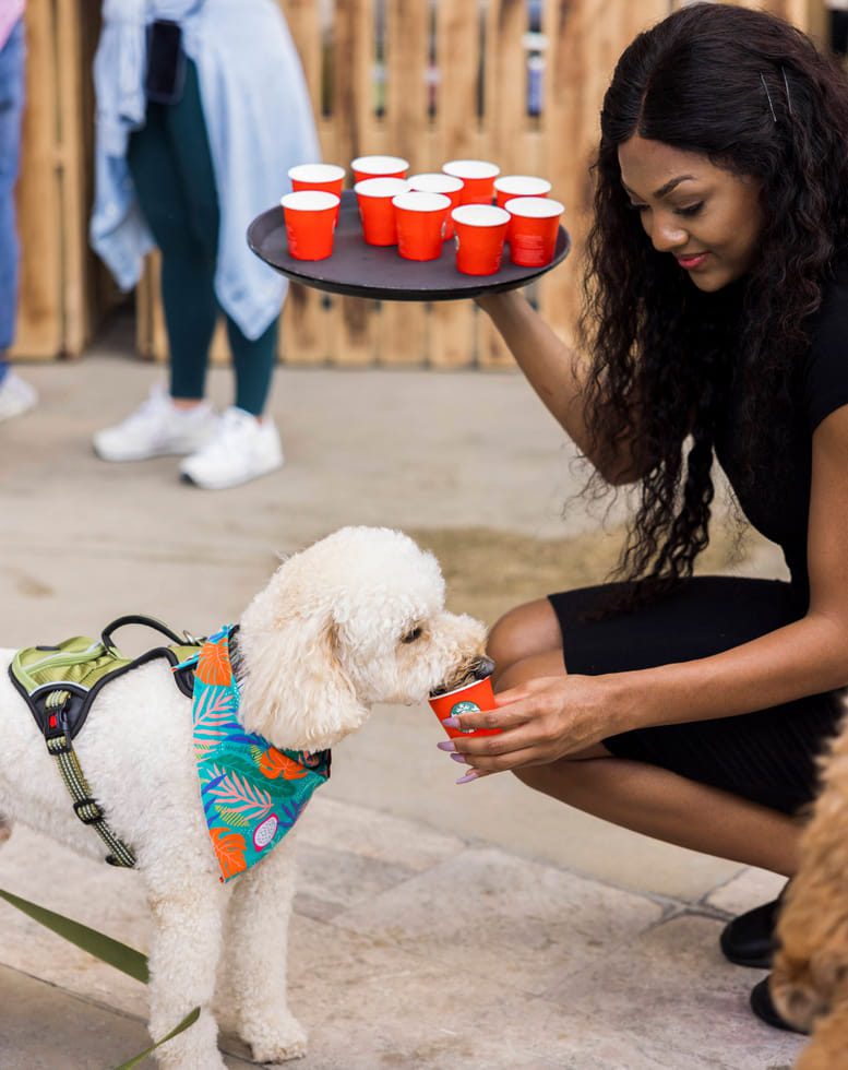 5th annual Paws Patio Food Fest returns to Intercontinental Miami