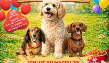 SPCA Tampa Bay’s 35th Annual Pet Walk