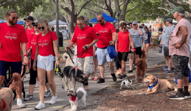 35th annual Pet Walk is a huge party supporting the county's only for-all shelter