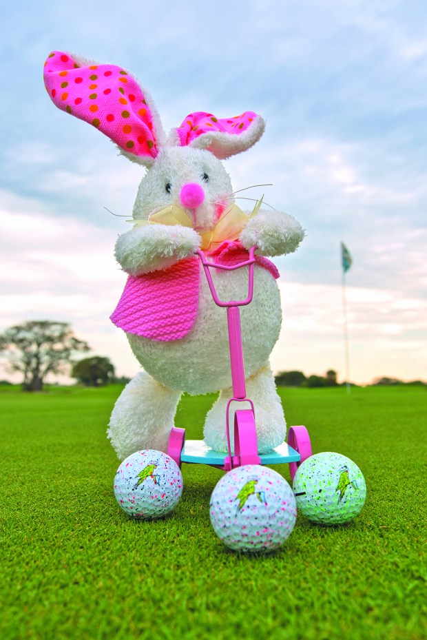 Hop over to The Park, a publlic golf course in West Palm Beach, for an egg hunt and photos with the Easter Bunny on April 4.